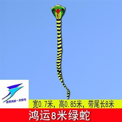 蛇风筝视频
